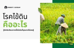 โรคไข้ดินคือ อะไร ? รู้จักภัยเงียบจากเชื้อในดินที่คุณอาจไม่เคยรู้